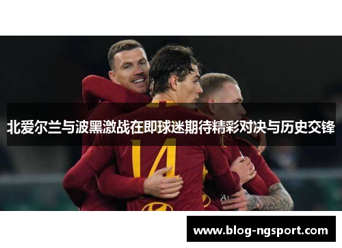 北爱尔兰与波黑激战在即球迷期待精彩对决与历史交锋