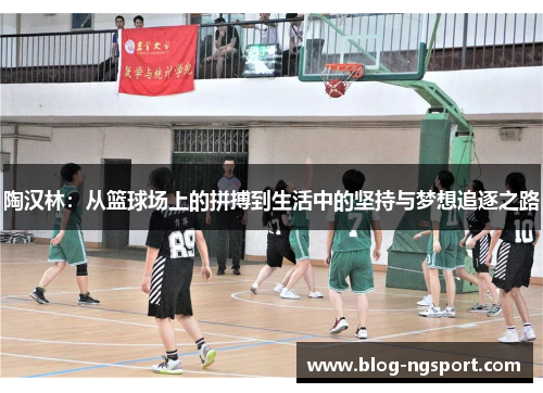 陶汉林：从篮球场上的拼搏到生活中的坚持与梦想追逐之路